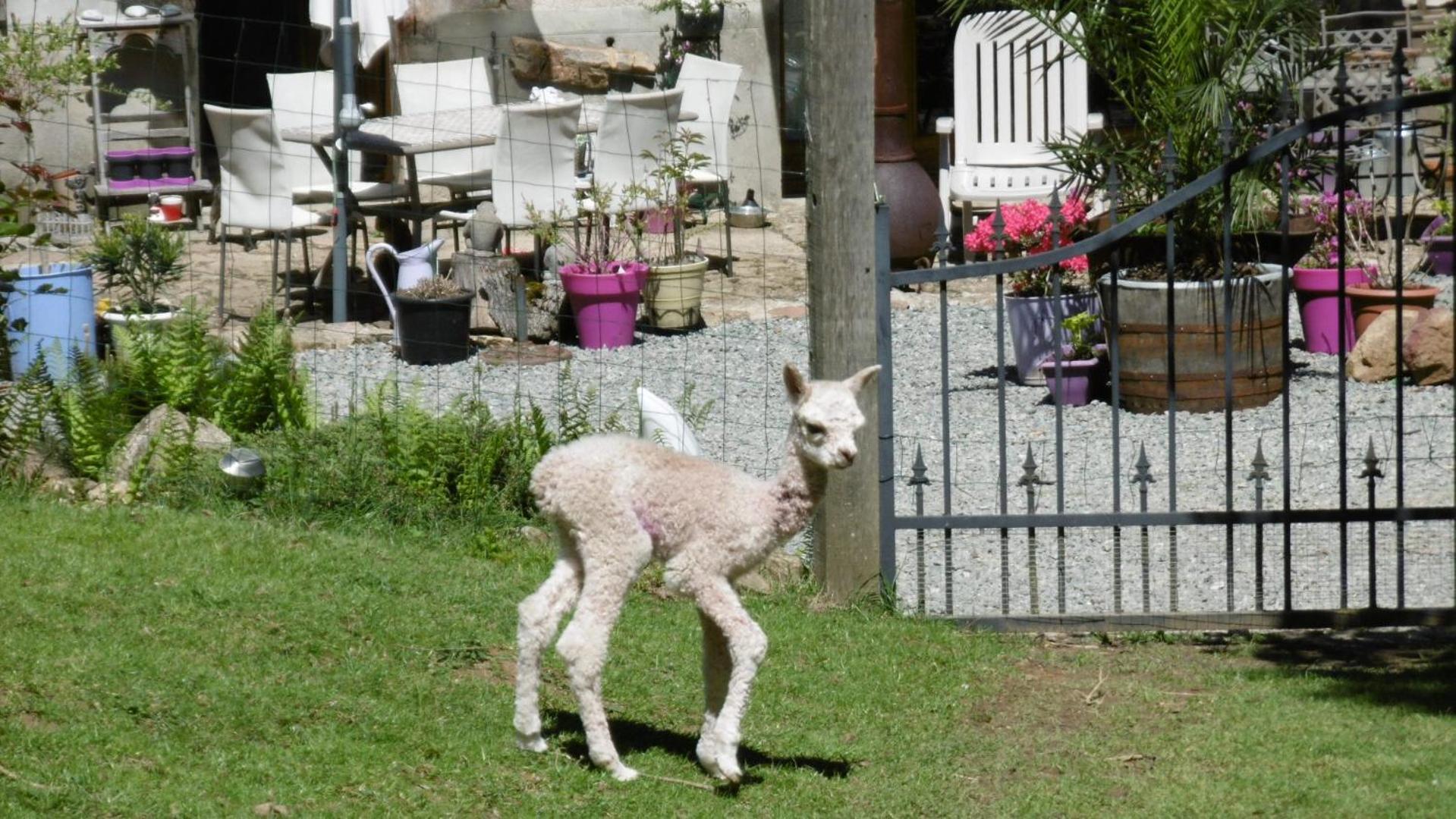 Lazy Days Bed & Breakfast Rancon ภายนอก รูปภาพ